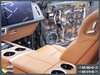 Li Xiang LI 9_Audio..jpg